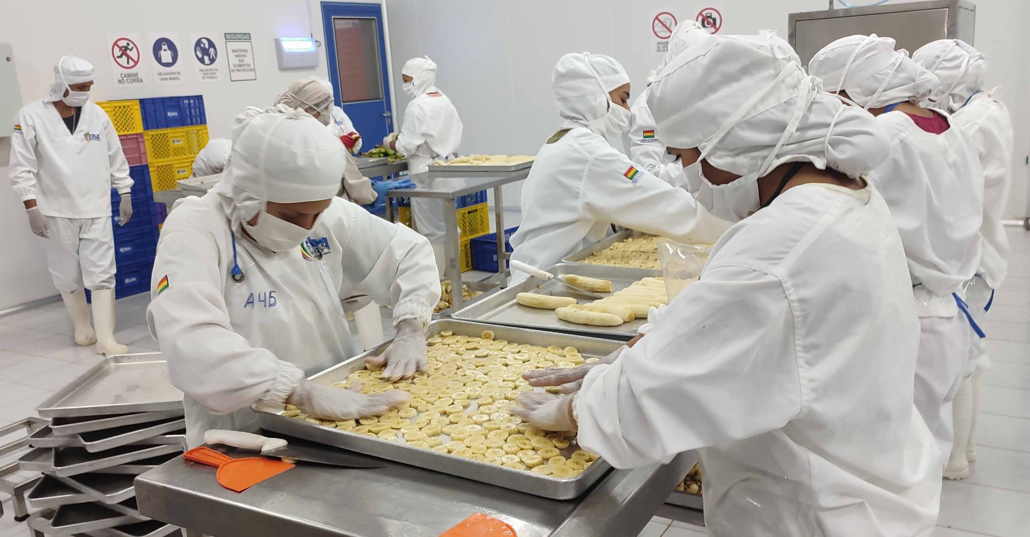 PGE 2022 reformulado da continuidad a la reconstrucción económica y viabiliza créditos de hasta Bs 3.000 millones