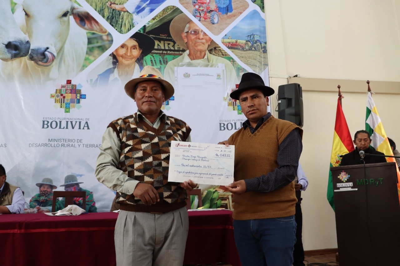 Gobierno entrega incentivos económicos a productores de ganado camélido