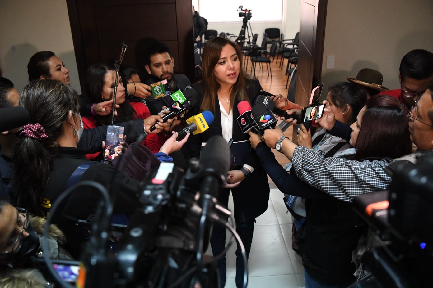 Proyecto de ley 305: Viceministra de Comunicación anuncia reunión con los gremios de prensa