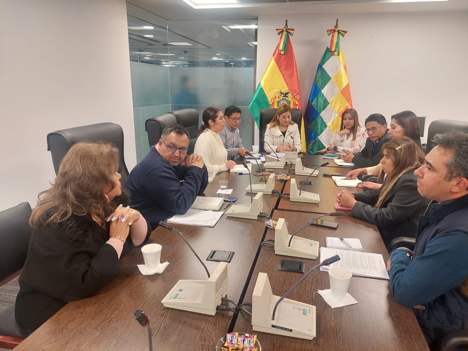 Medios alternativos reiteran que la libertad de prensa está garantizada con la supresión del artículo 281 del proyecto de ley 305