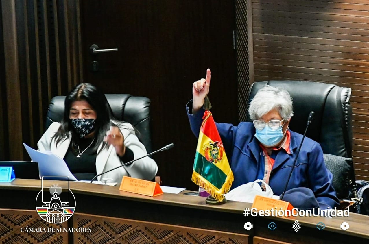 Senado aprueba homenaje póstumo al ciudadano Iván Guzmán de Rojas en reconocimiento a su aporte al país