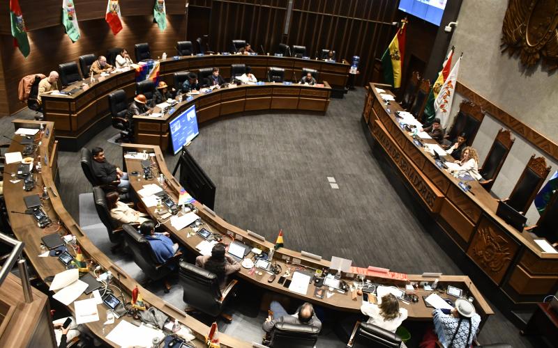Senado convocado a sesionar el martes a las 08:30 prevé debatir proyecto de ley del censo aprobado en Diputados