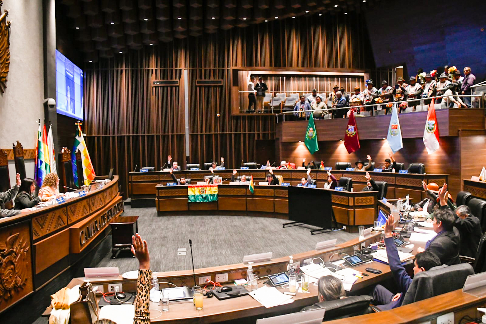 Senado advierte con proceso a Camacho si no acude a brindar informe por los 36 días de paro