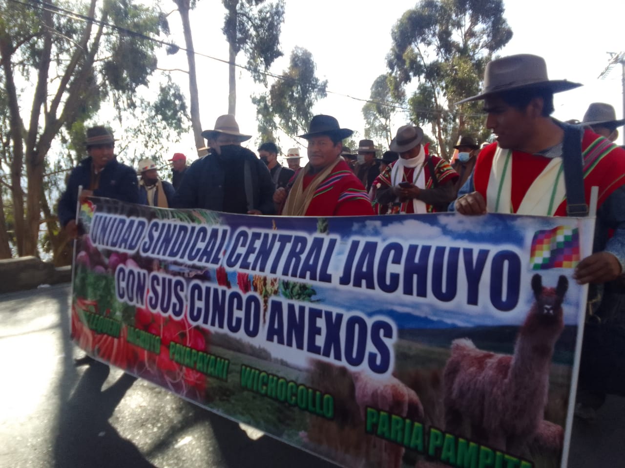 Pueblos indígenas presentes en la defensa de la democracia y la economía