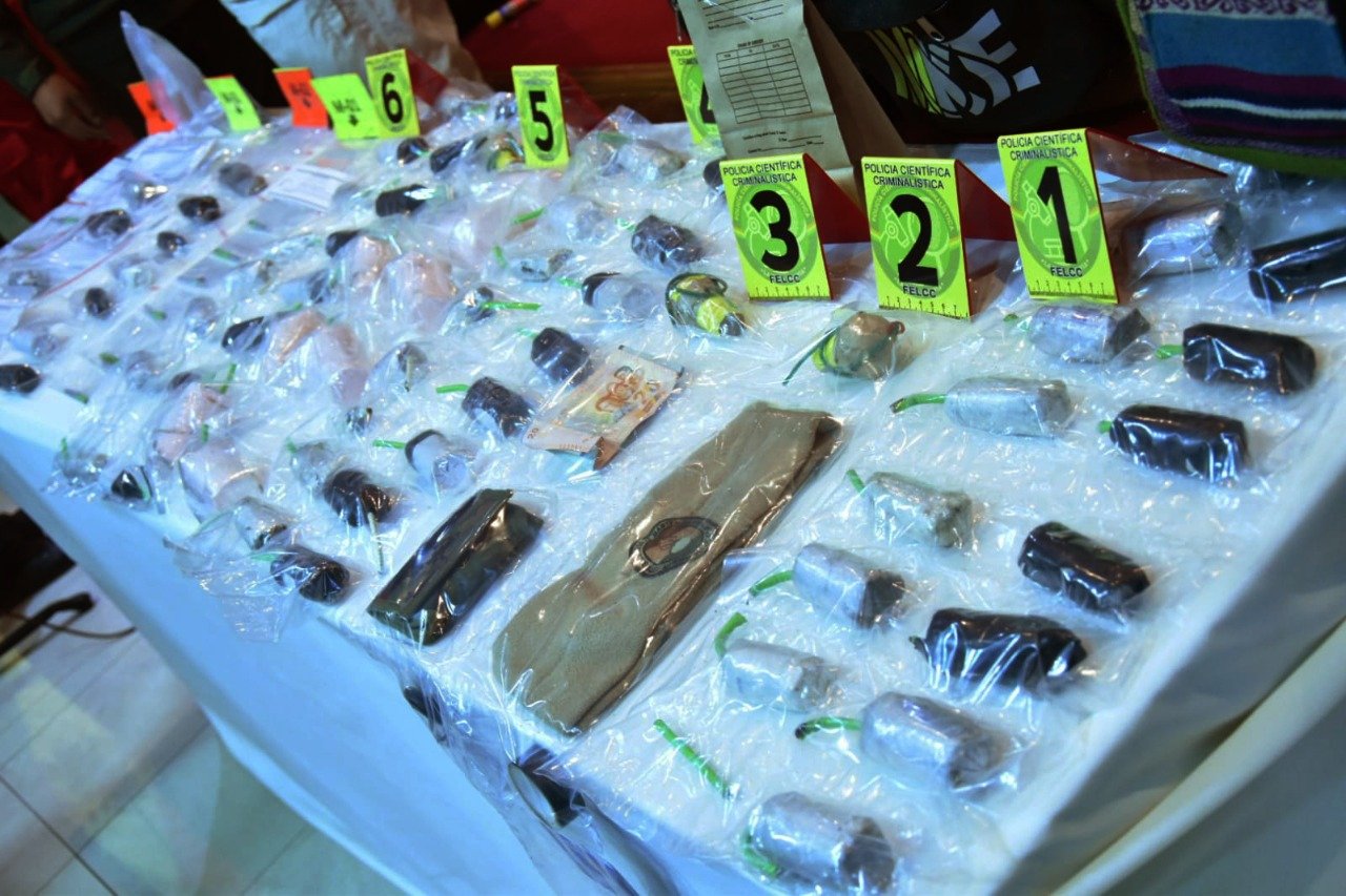 Del Castillo anuncia pesquisa a nexos y financiadores de la movilización de productores de hoja de coca