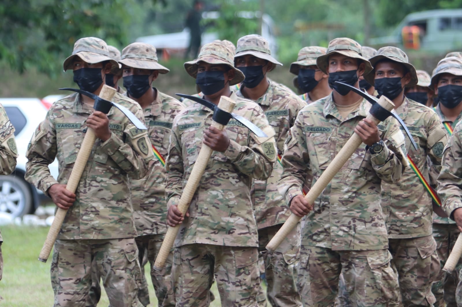 Bolivia superará las 10.000 hectáreas de hoja de coca excedentaria erradicada 