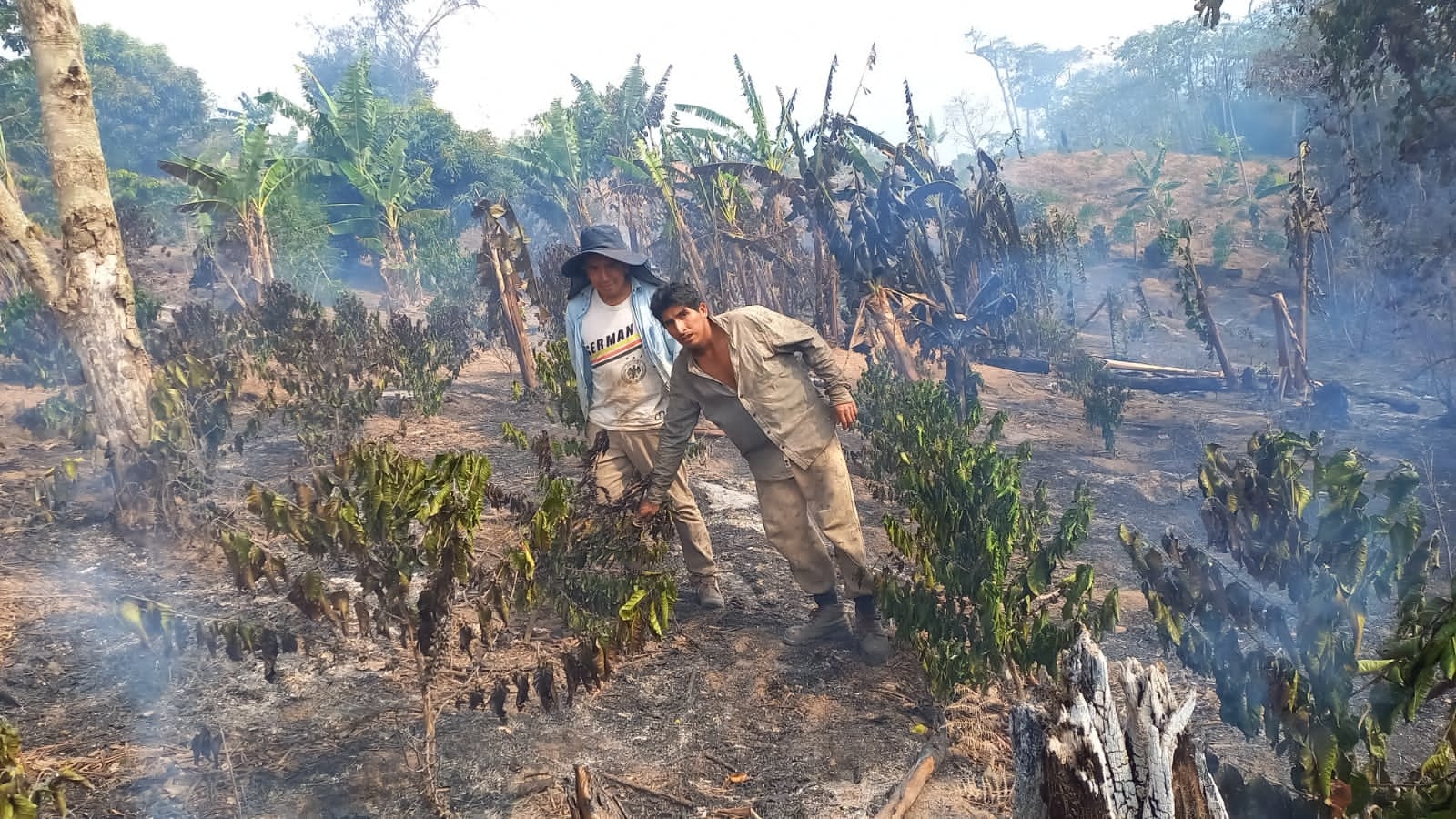 Irupana y la Asunta son los municipios más afectados por el incendio en el norte paceño