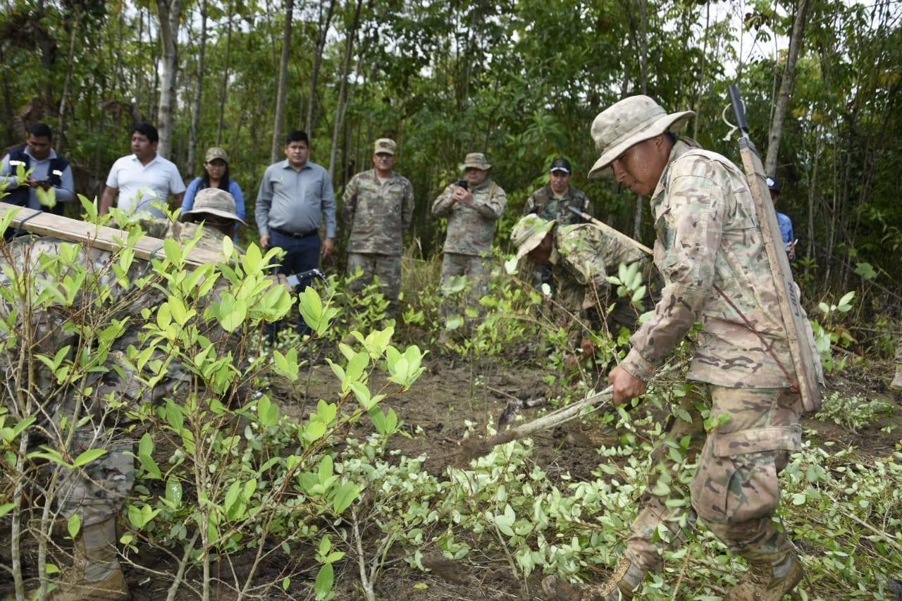 ANUARIO 2022: El Gobierno rompe sus propias metas de erradicación de cultivo de coca excedentaria con diálogo y sin violencia