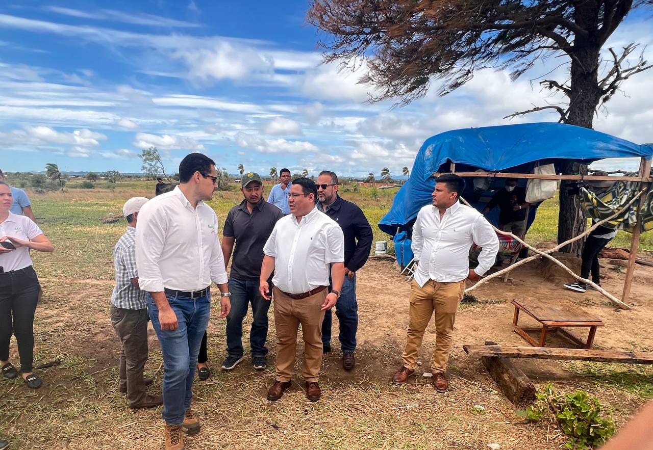 Cada mes se registran alrededor de 26 denuncias por avasallamiento y tráfico de tierras en el país 