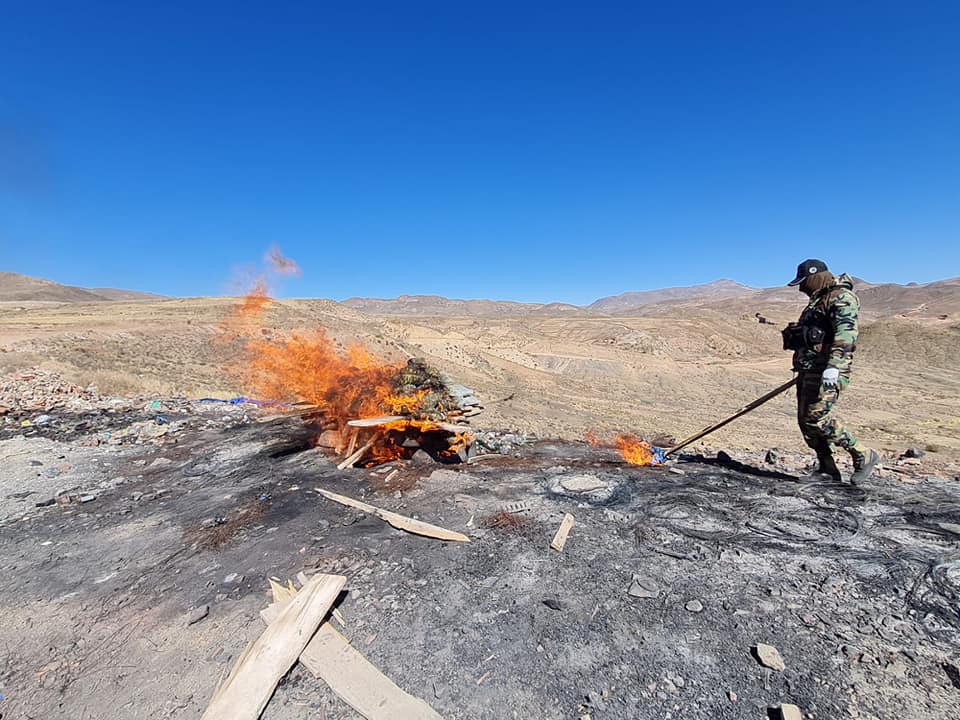 FELCN incinera 62,6 kilos de marihuana en el departamento de Potosí