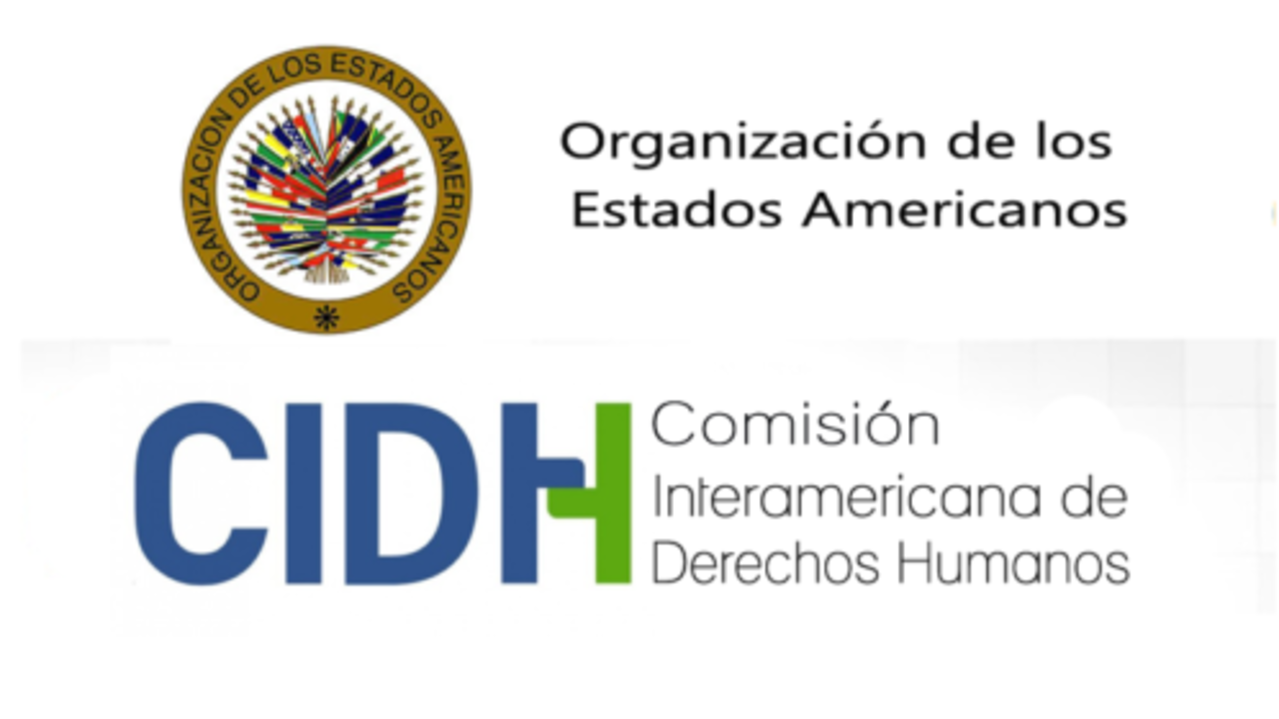 El Gobierno informó a la CIDH en Washington avances de las recomendaciones del GIEI-Bolivia 