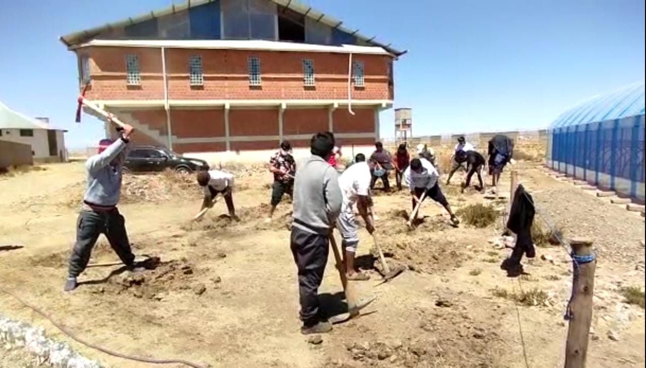 Privados de libertad construyen viveros subterráneos en Chonchocoro y Qalahuma 
