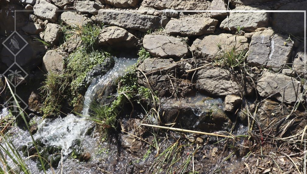 Kecoma es calificada como "presa canasta" por sus filtraciones