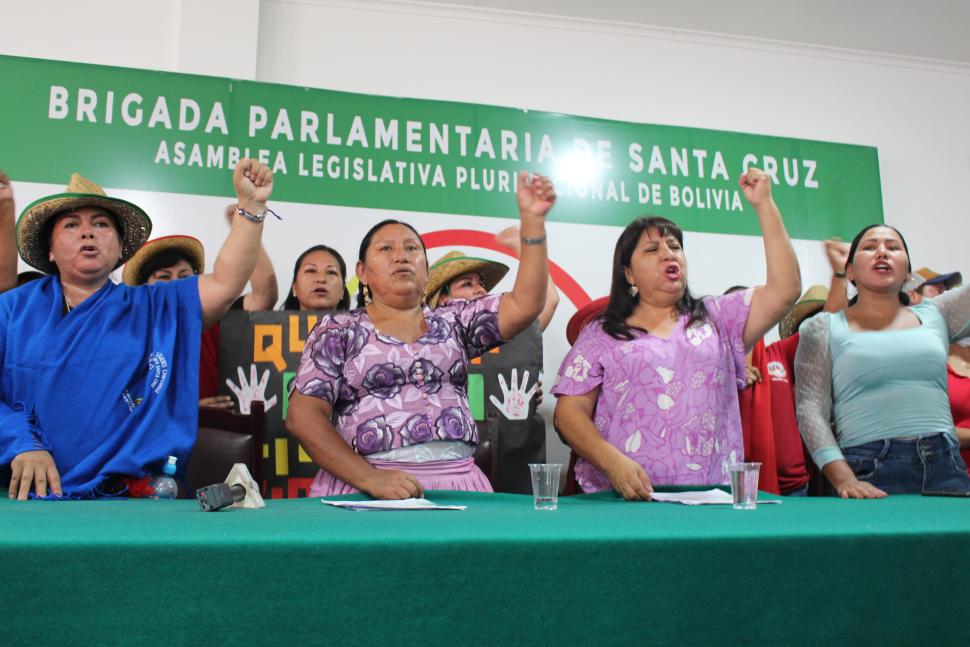 ABI Federaci n Bartolina Sisa y organizaciones de mujeres de