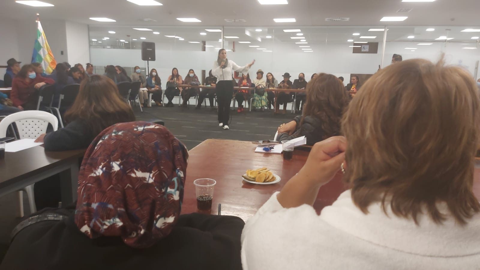 Más de un centenar de mujeres instalan  el Consejo Departamental para luchar contra la violencia de género