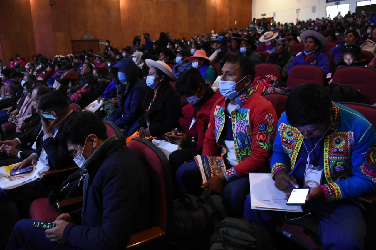 Cumbre plantea abordar el racismo y discriminación en el currículo educativo