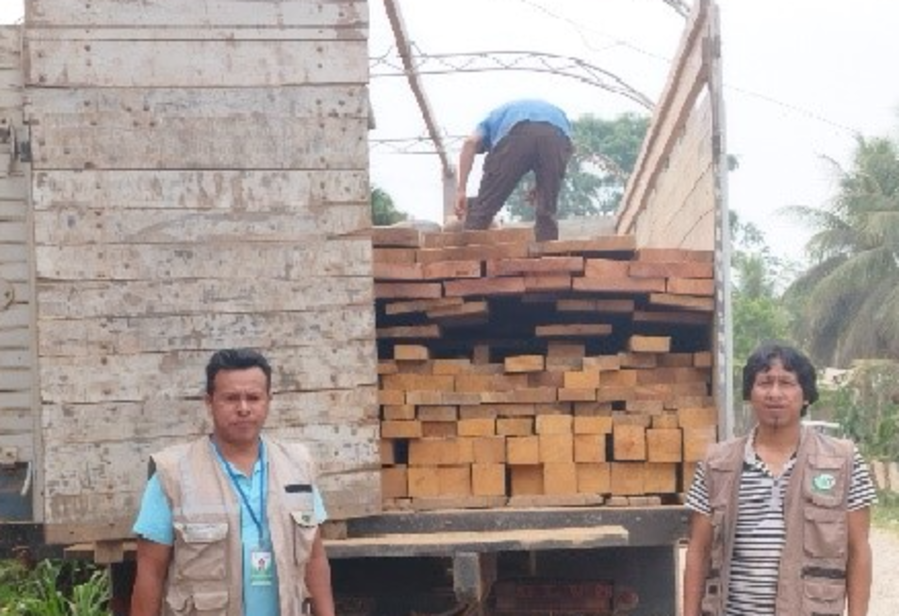 ABT decomisa madera ilegal en Palos Blancos-La Paz