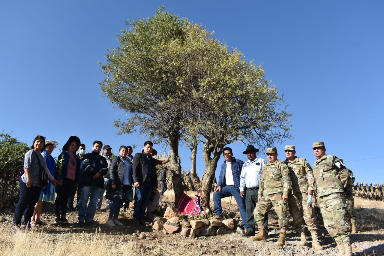 Gobierno celebra el Día de Árbol forestando Sacaba con plantas nativas