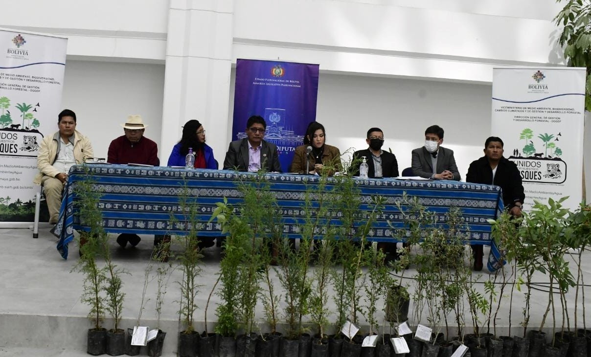 Proponen ley para declarar el primer día de octubre como Día Nacional de Plantación y Cuidado del Árbol