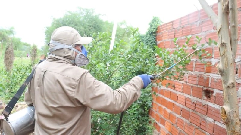 Brigadas médicas se desplazaron a Villamontes para controlar posible brote de leishmaniasis 