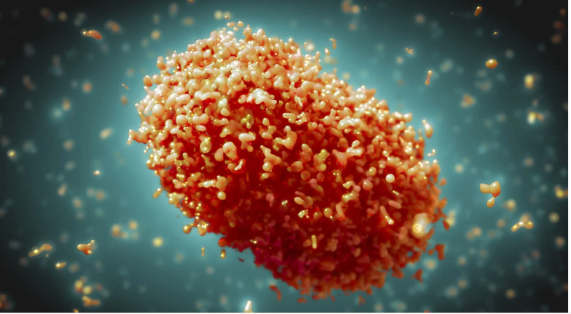 Bolivia reporta 105 pacientes activos con viruela símica