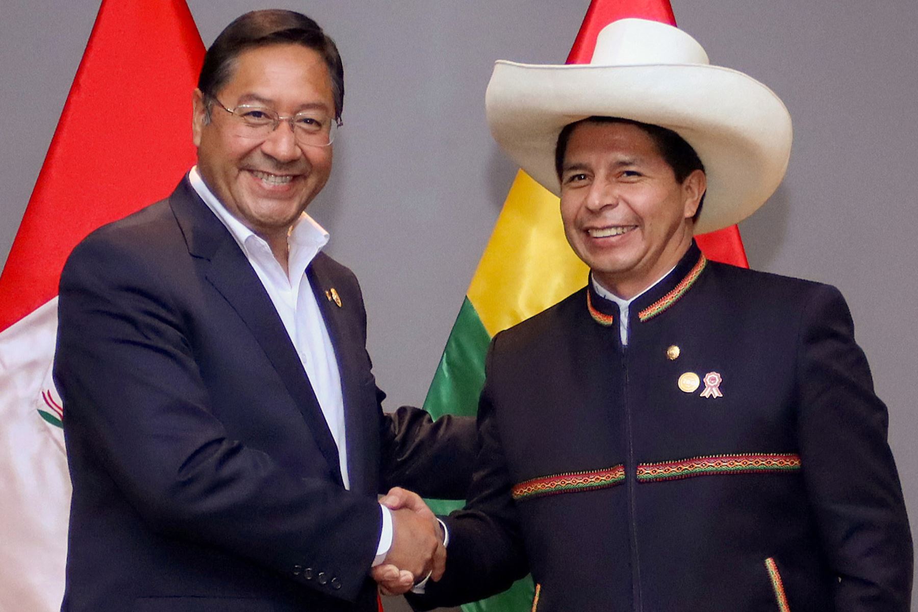 Hoy se realiza el Encuentro Presidencial y VI Gabinete Binacional Perú-Bolivia