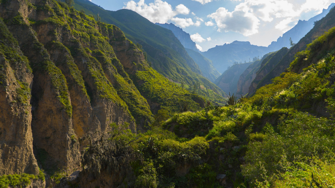 Relanzarán plataforma intercultural para visibilizar propuestas y visiones de los pueblos indígenas