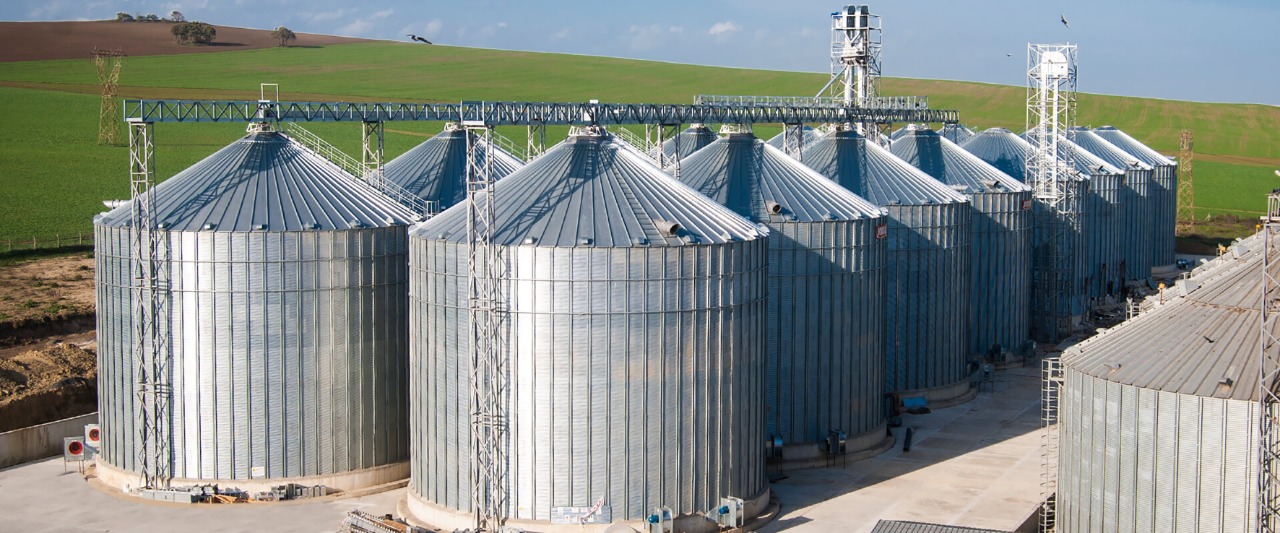 BDP: Se crea “Pirwa Productiva” para contribuir a la seguridad alimentaria de los bolivianos