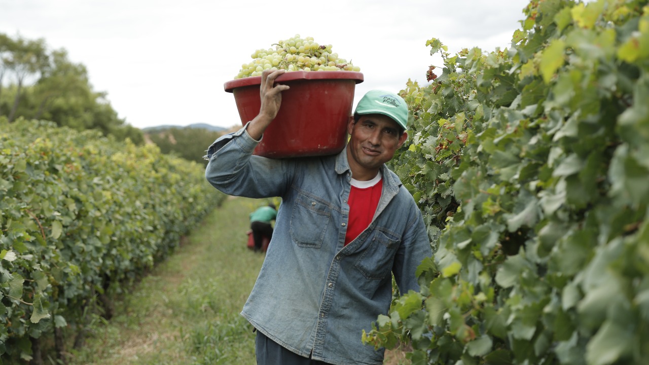 Construcción de planta procesadora de frutas en Potosí registra avances y se prevé entregarla a fin de año