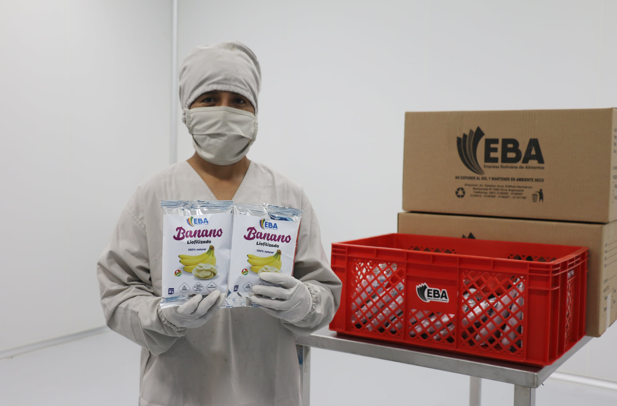 Analizan la construcción de una planta liofilizadora en Cobija