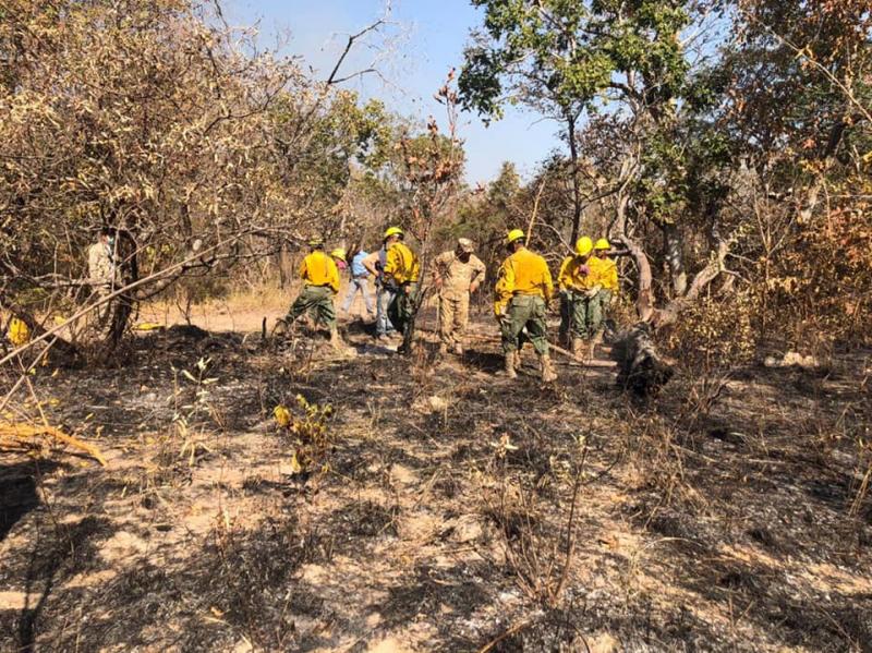 Defensa Civil, FFAA y la Unidad Operativa de Bosques y Tierra coordinan acciones para controlar focos de calor en San Matías