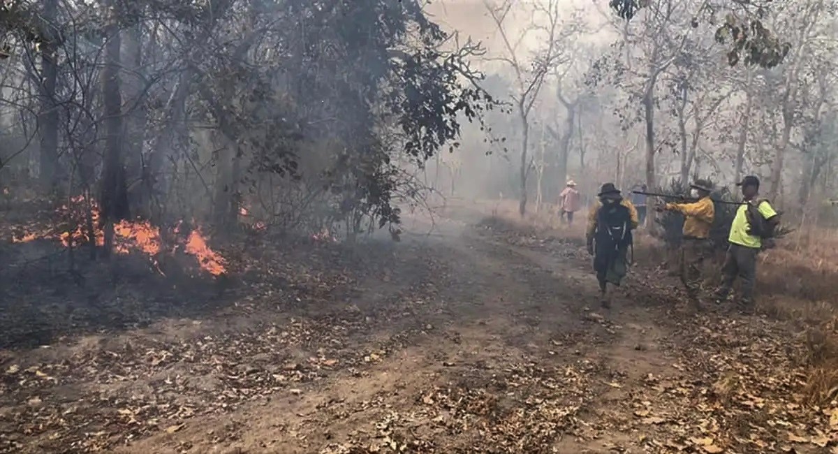 ABT emite 40 citaciones por procesos administrativos para investigar incendios en Santa Cruz