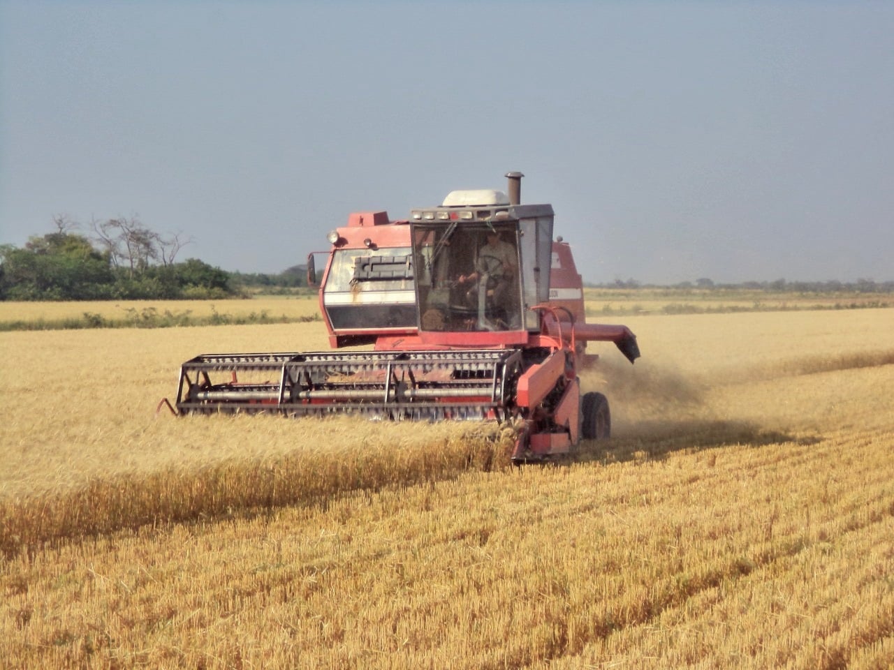 Promulgan la Ley 1391 de incentivos tributarios como apoyo y fomento a la actividad productiva