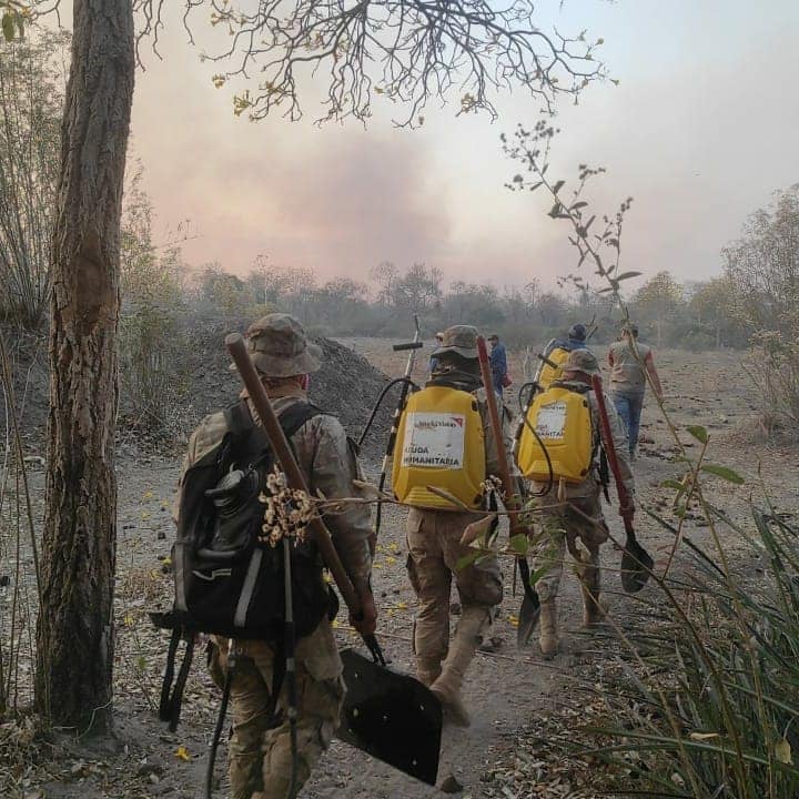 Reportan más de 223.000 hectáreas afectadas por los incendios en Santa Cruz