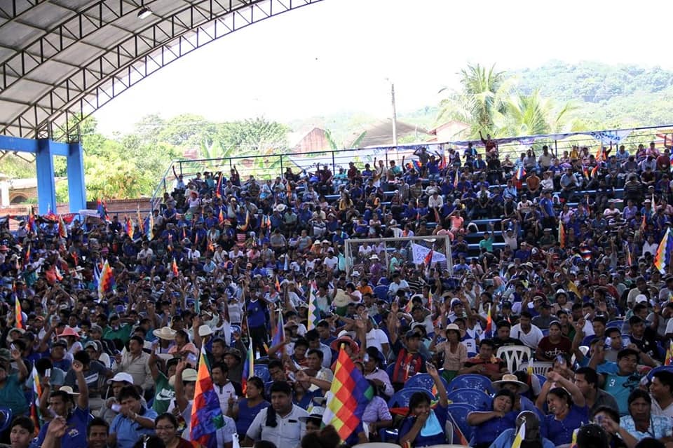 Congreso del trópico aprueba juicio penal contra Áñez por clausura del año escolar en 2020