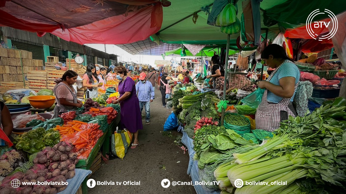 Convocatoria al paro contra la Ley 1386 fracasa en diferentes regiones del país