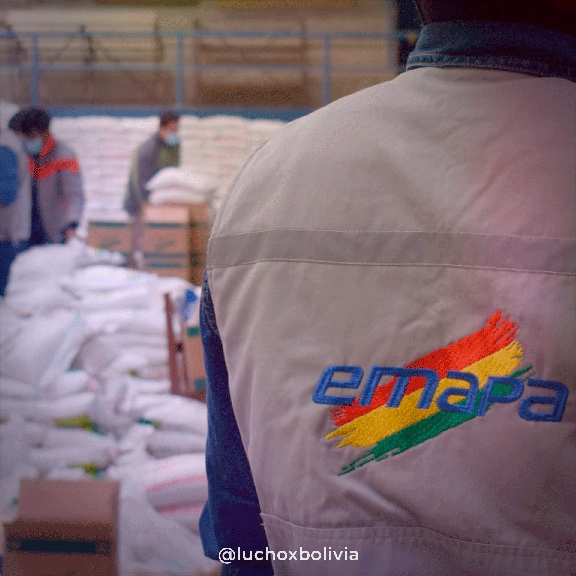 Presidente destaca que Emapa recaude Bs 527,8 millones y beneficie a 3.256 productores