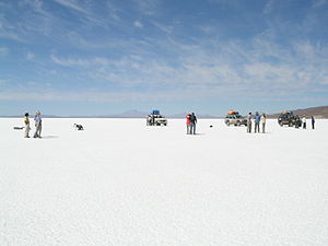 Flujo turístico en 2020 bajó en -73,9% y los ingresos disminuyeron en $us 646 millones respecto al 2019