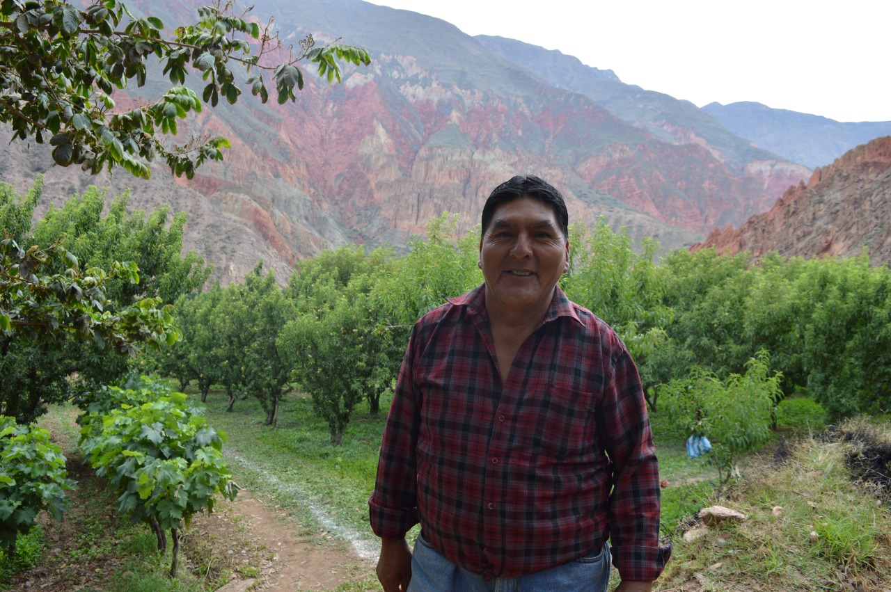 Financiamiento y asistencia técnica del BDP mejora la producción de duraznos en Luribay