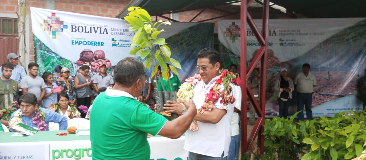 Gobierno invierte más de Bs 1 millón para la producción de cacao en el departamento de La Paz