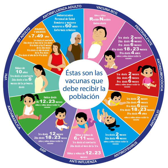 La Paz: SEDES pretende vacunar a 49.000 menores de cinco años contra enfermedades inmune prevenibles