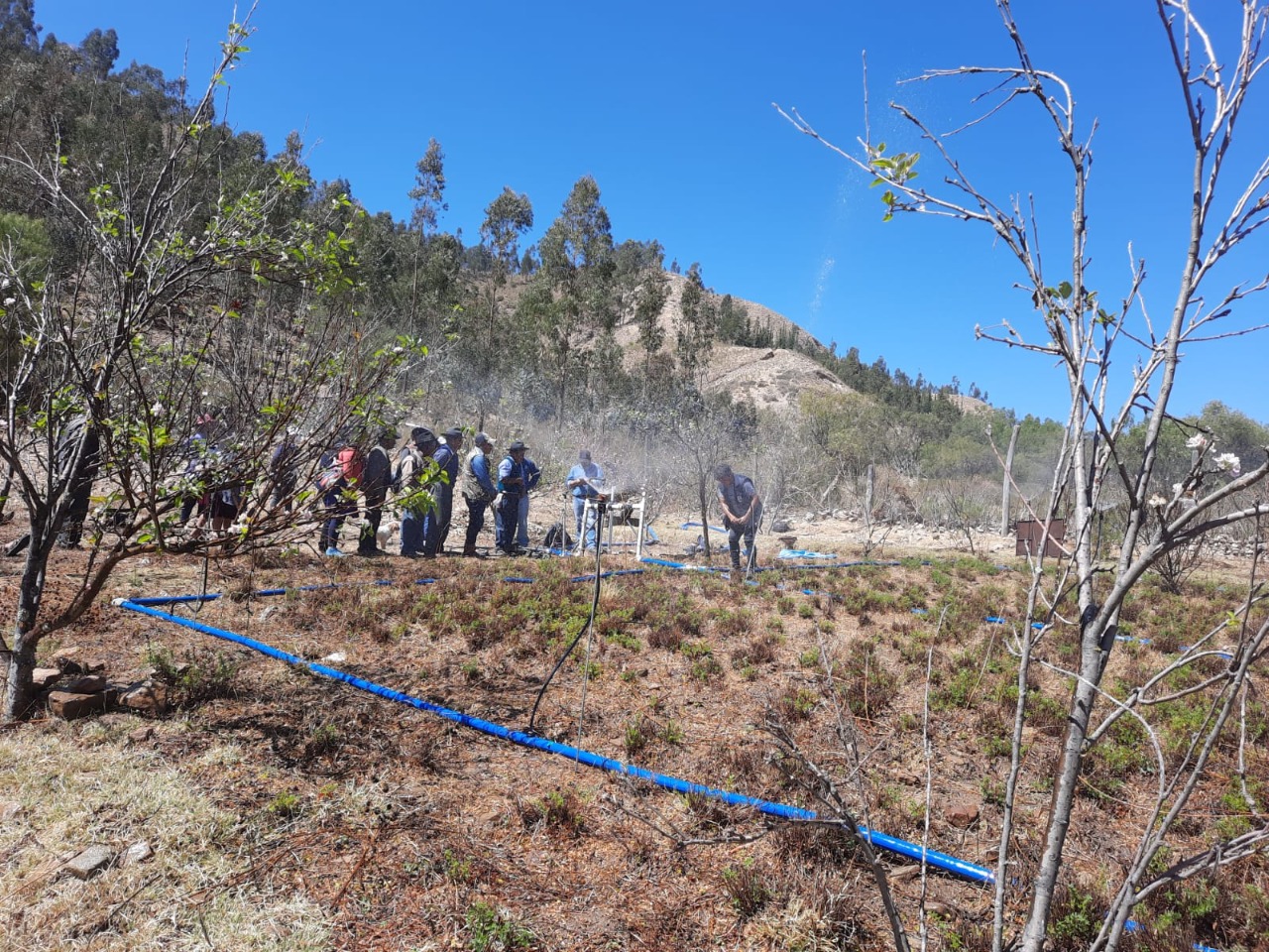 El BDP asesora proyectos productivos y sustentables en Cochabamba