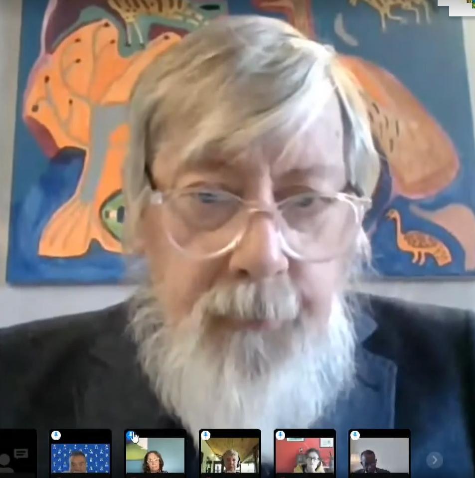 El GIEI resalta en la OEA que existieron masacres durante los hechos violentos de 2019 y exige justicia