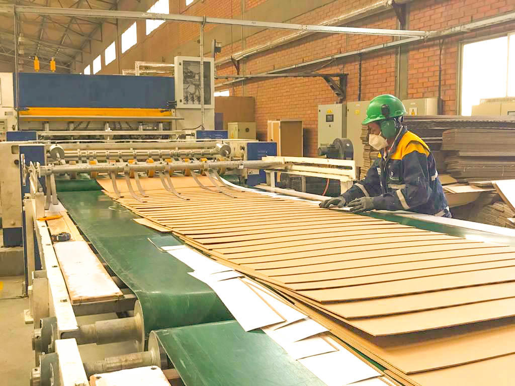 Cartonbol comienza producción de 700.000 empaques y 800.000 cajas para generar Bs 3,5 millones en ingresos