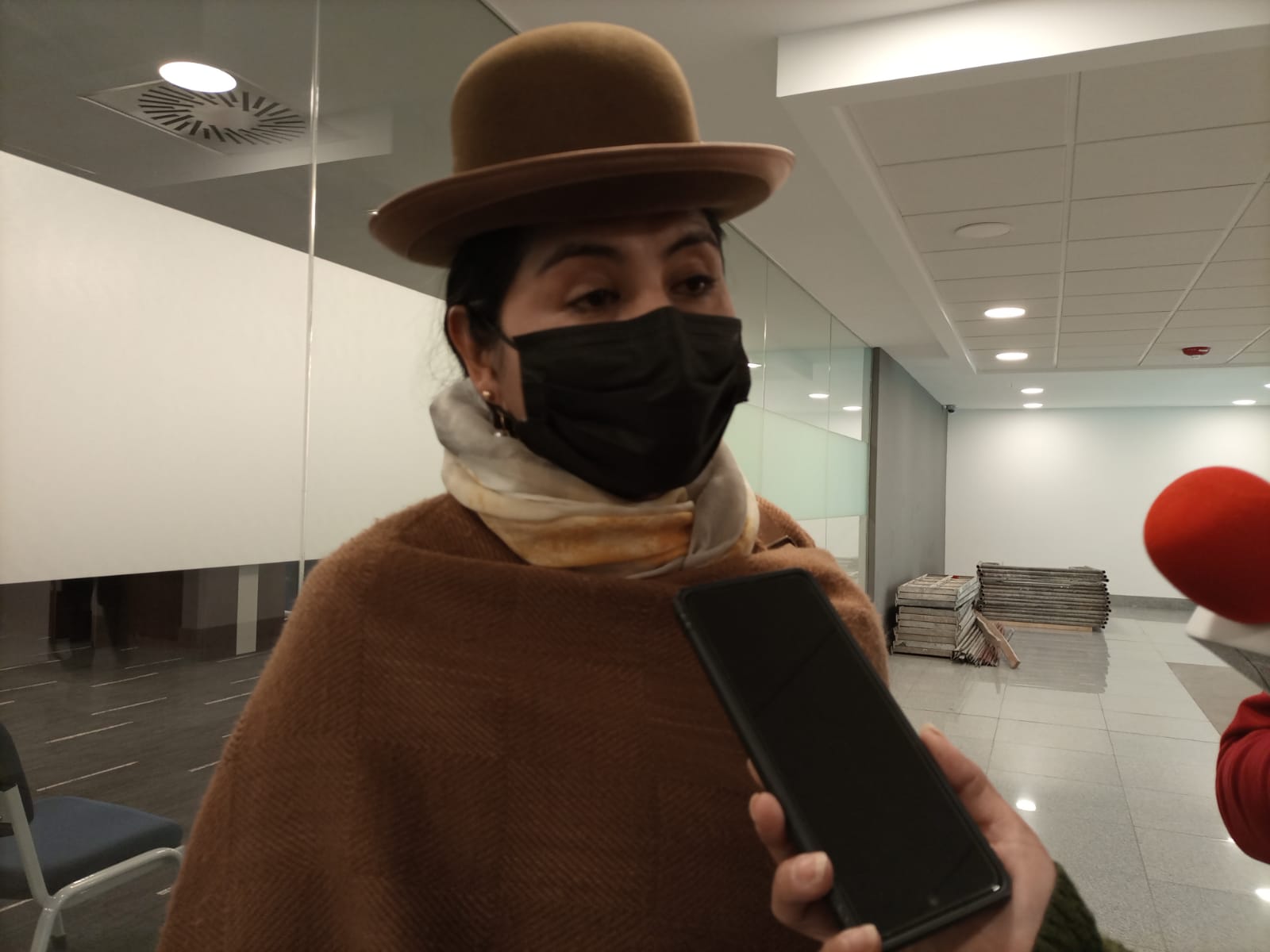 Diputada prevé que ajustes a la Ley 348 de protección a la mujer incorporará nuevos delitos