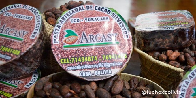 Presidente felicita a productores de cacao, cuya muestra figura entre las mejores del mundo