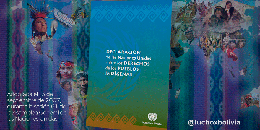 Bolivia celebra los 14 años de la declaración de las Naciones Unidas sobre Derechos de los Pueblos Indígenas