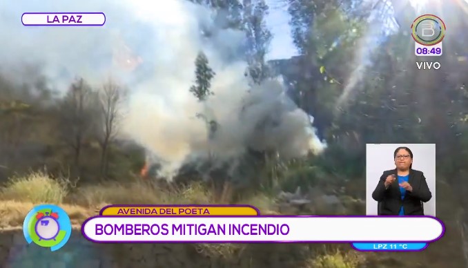 La Paz: Bomberos sofocan incendio forestal en inmediaciones del puente de Las Américas