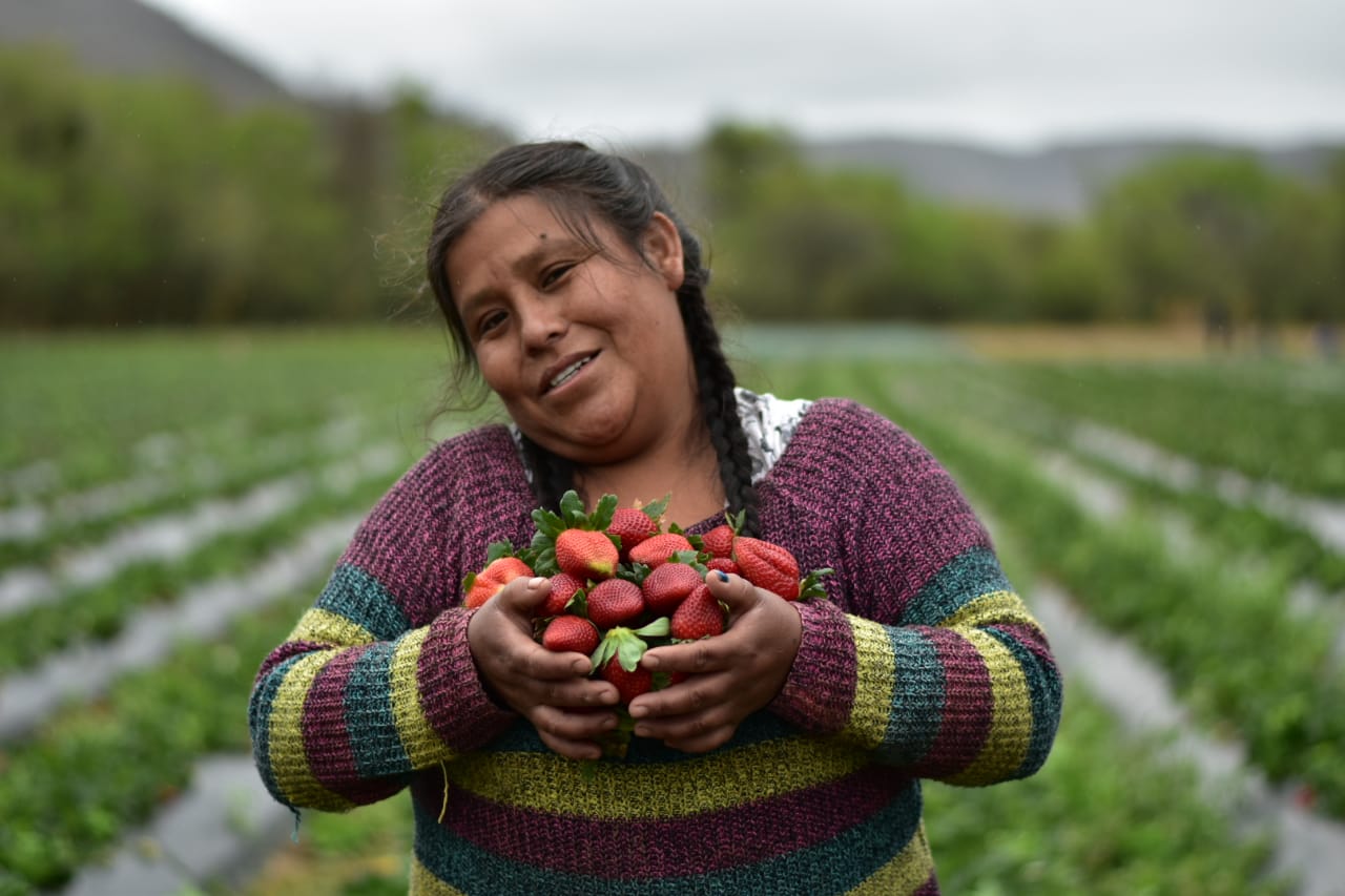 Gobierno apoya la producción frutícola en Santa Cruz con sistemas de riego, atajados y capacitación