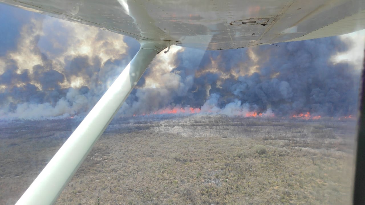 Diputado Rojas advierte que incendios podrían ser premeditados como en 2019